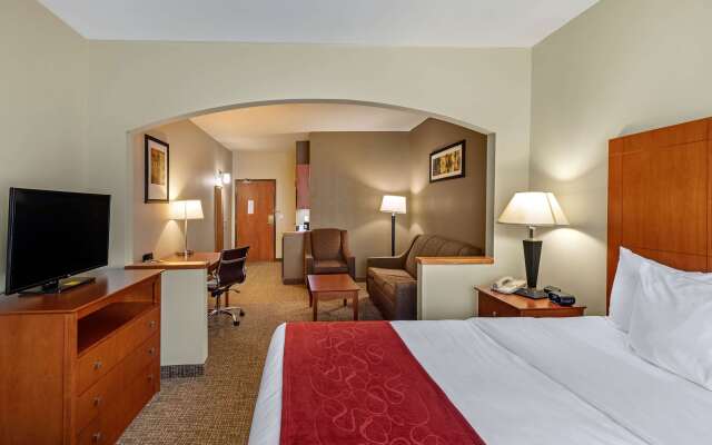 Comfort Suites North Dallas