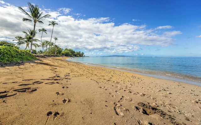 Waipuilani 102