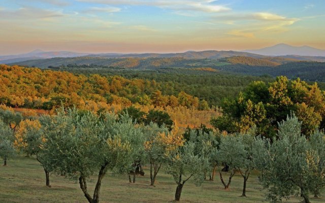 Majestic Farmhouse in Lucignano With Swimming Pool