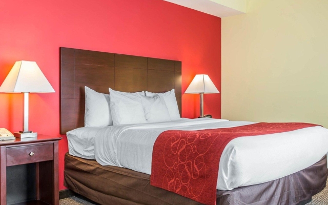 Comfort Suites Rock Hill Manchester Meadows Area