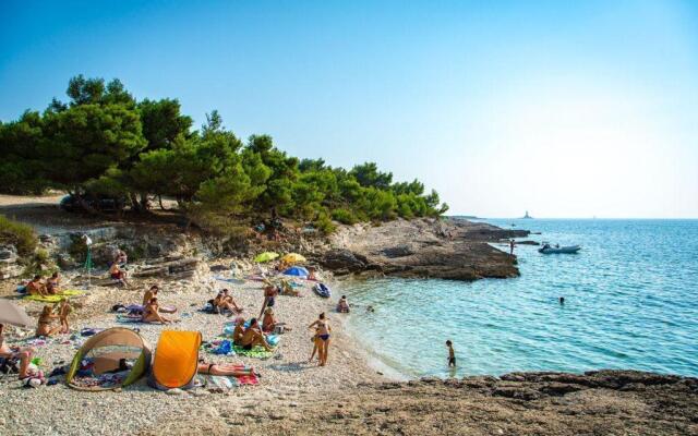 Apartment-Studio-Ginkgo-A1