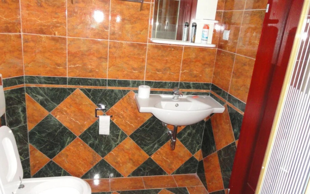 Apartment Pucurica II