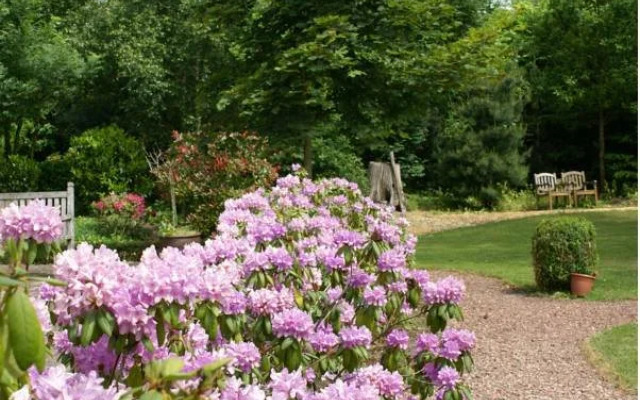 Hofstede de Rieke Smit