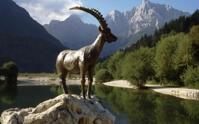 Vila Mojca Apartma Eva-Neža, Kranjska Gora (center)