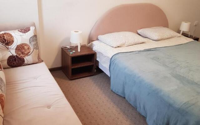 Dobricin konak, Apartman 202