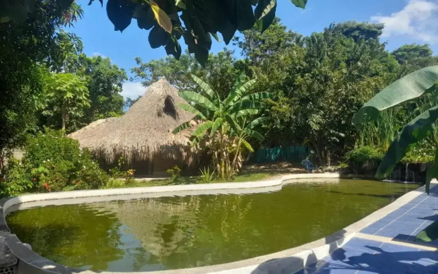 Finca Los Mangos