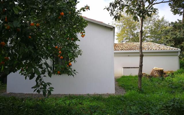 Belvilla by OYO Casa Bambu