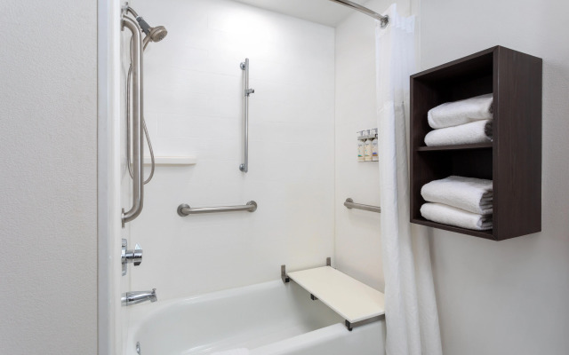 Holiday Inn Express & Suites, International Drive by IHG