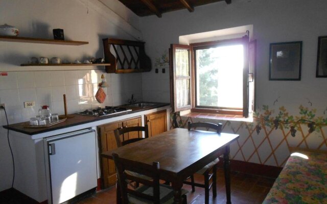 Fattoria Il Praticino