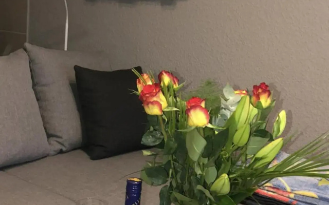 Ferienwohnung Schwede
