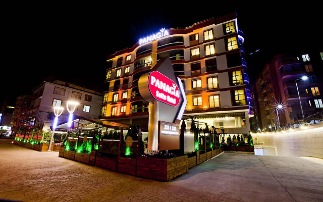 Отель Panagia Premier Trabzon