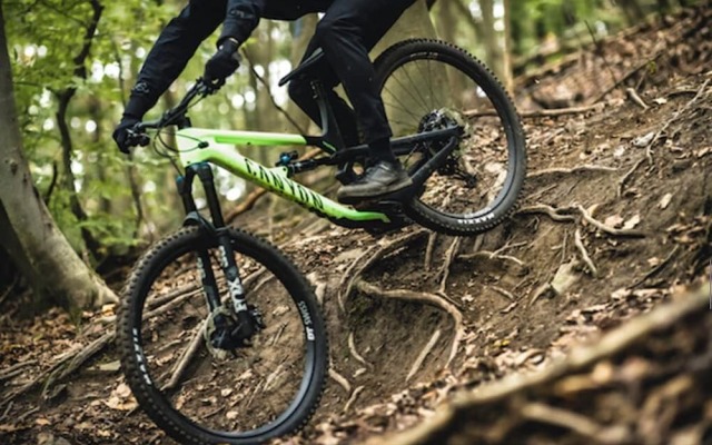 Kokomo Inn - Tropical Riverfront B&B