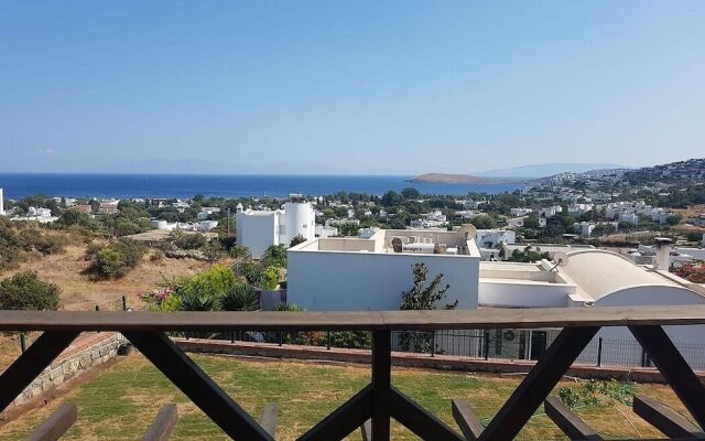 BO089 by Villaofsummer