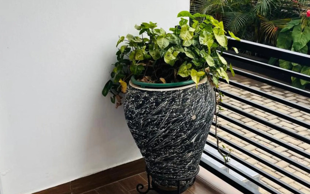 Zane Apartments in Rebero Heights