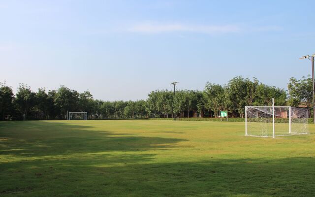 Singha Rubber Tree Kanchanaburi
