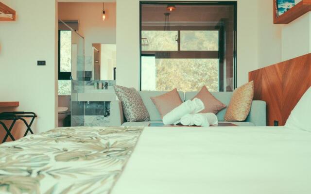 Shark B&B