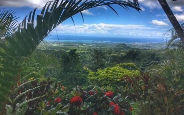 Dave Parker's Eco Lodge