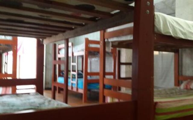Lion AQP hostel