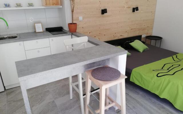 Studio apartman Fleiss