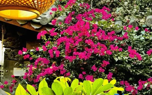 Drunk in the flowers