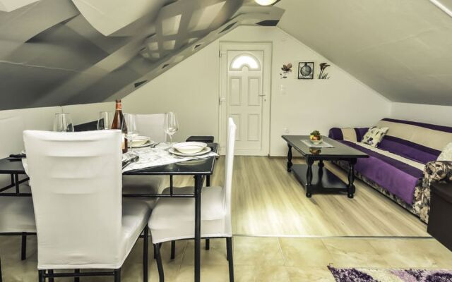 Apartment Amadea Novigrad (Zadar) 42532