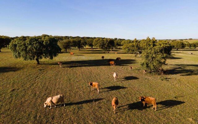 Vila Gale Collection Hotel Monte do Vilar