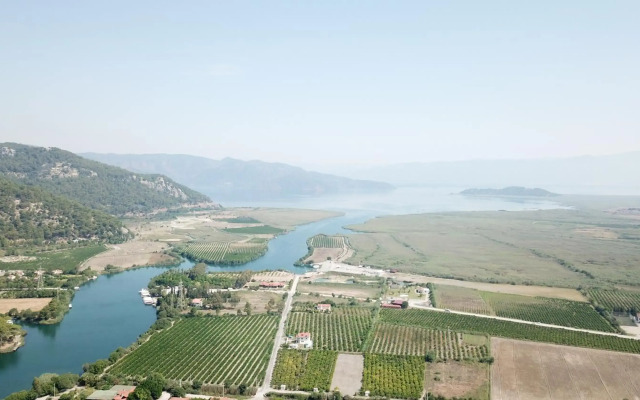 The Osmanli Hani