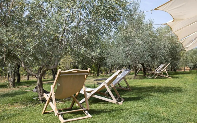 Casa Agricola Scorziello