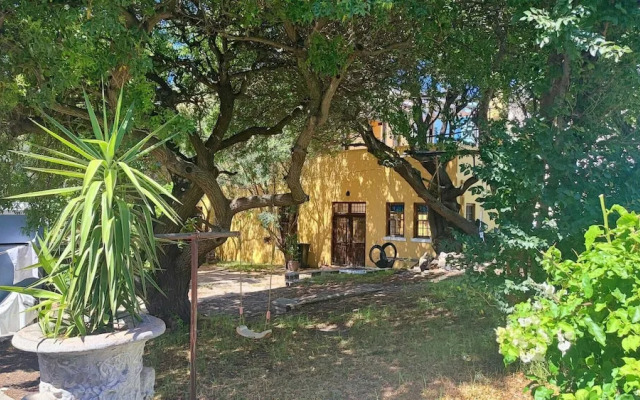 Purple Pearl at Bokaap