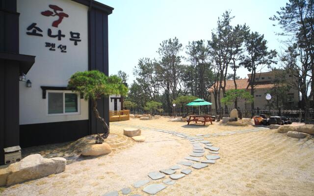 gyeongju gamposonamu pensyeon