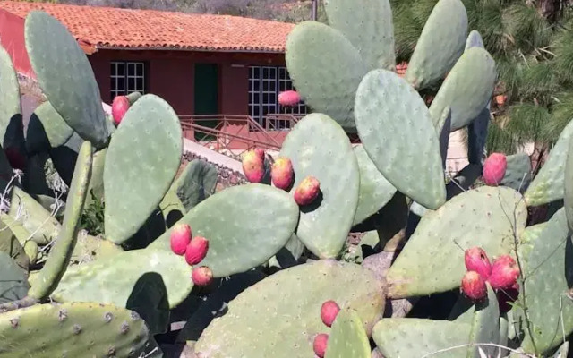 El Cuarto de Aperos