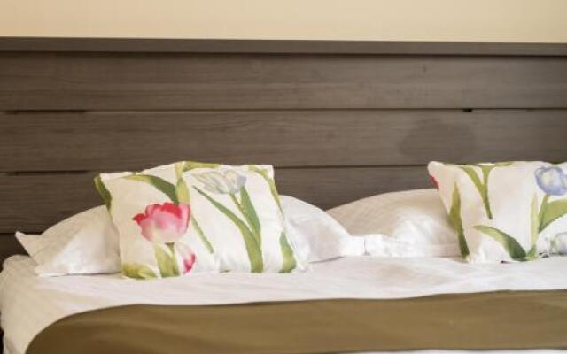 Vila Nicopole - art & wine