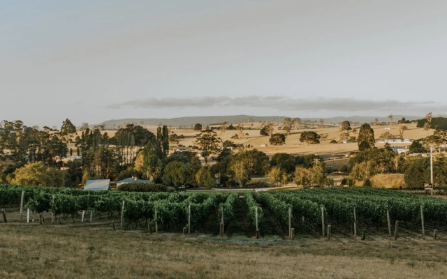 3 Willows Vineyard Cottage