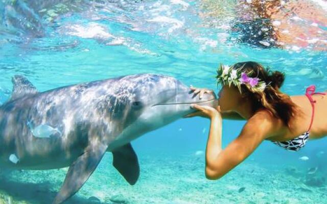 FaRoyal Luxury Suite