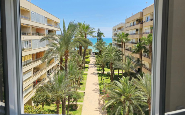 Torrenueva XIV Paralela