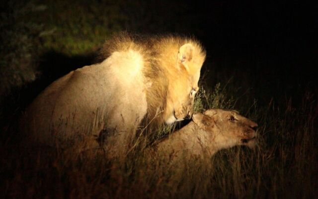 Muweti Bush Lodge