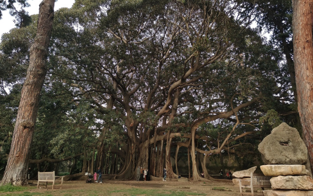 B&B 120 Rodionoff - connection to Airport and Mondello Beach