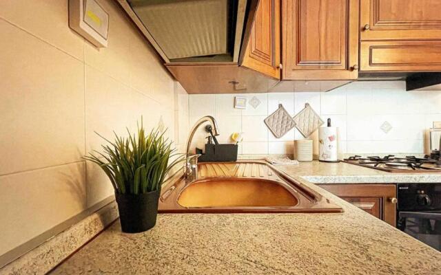 Papini's Home: Monza