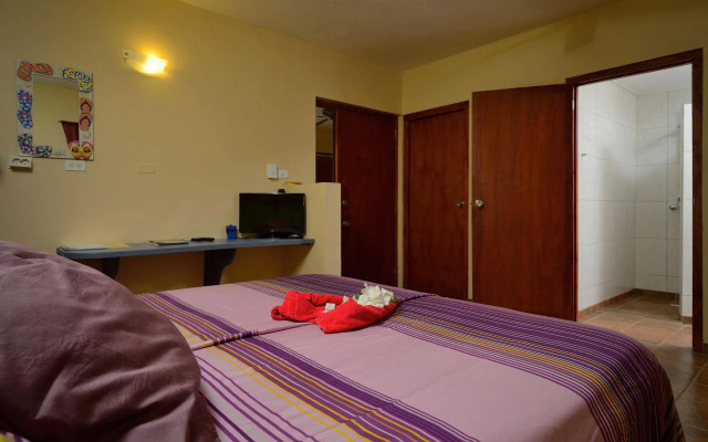 Djambo Apartments - Adults Only