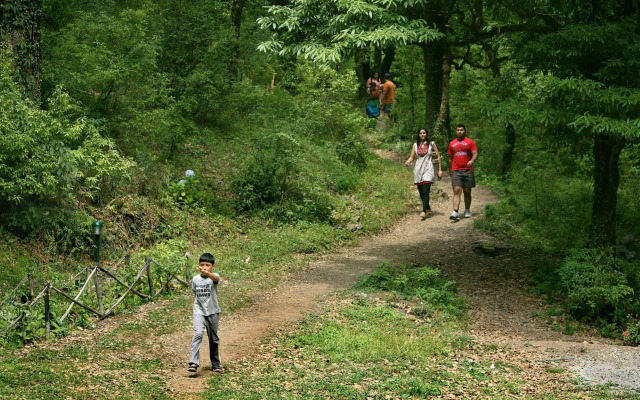 Ayar Jungle Resort