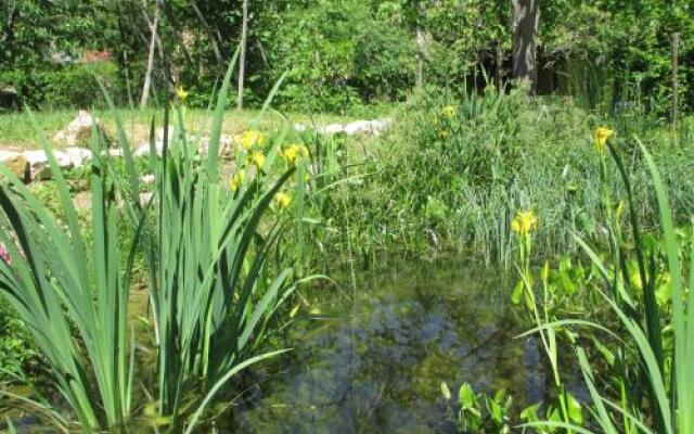 Eco-Logis du Vignoble