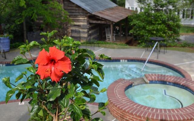 Stone Mountain Manor