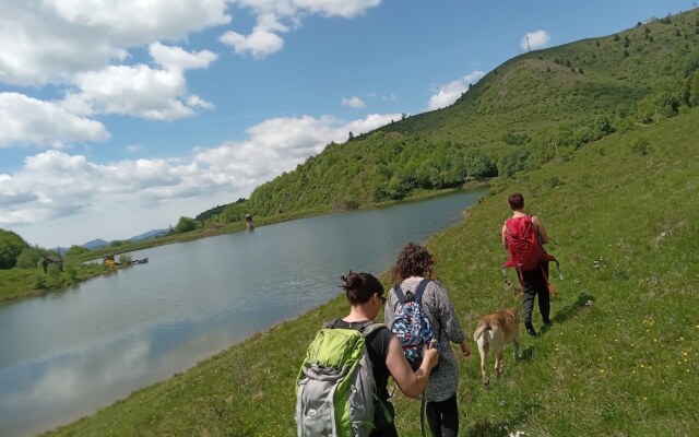 Room in Guest Room - Rural Holiday Transylvania
