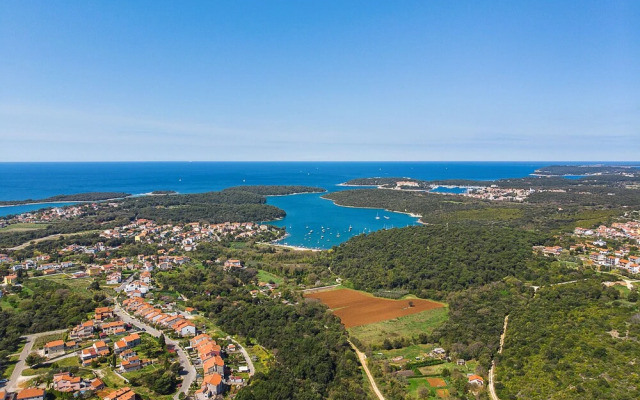 Pool Apartment Suzi 4