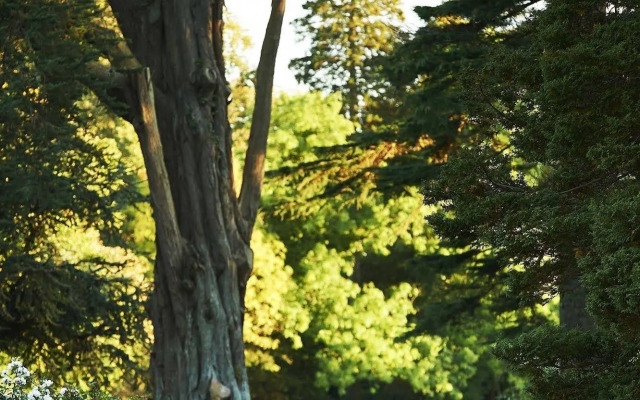 Ballymascanlon Hotel and Golf Resort