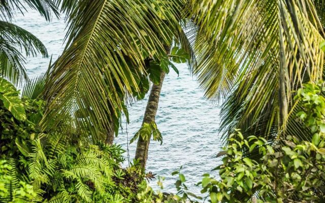 Tropical Hideaway