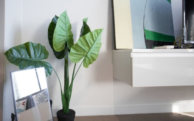 Lovely Home Close To South Cross Designer Apartment