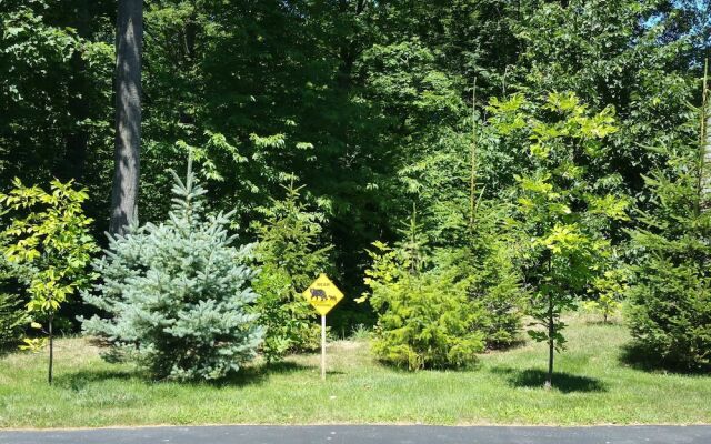 Elegant 2 king bedroom apartment