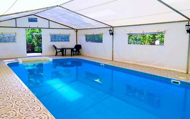 beit nofesh waiss