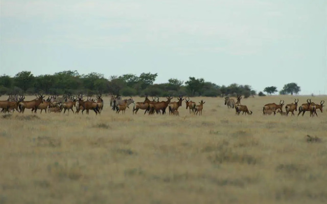 Uukwaluudhi Safari Lodge